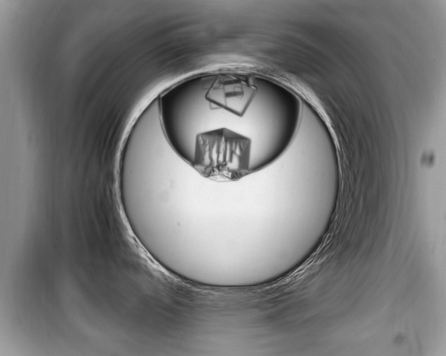 X0000099931488200805230949