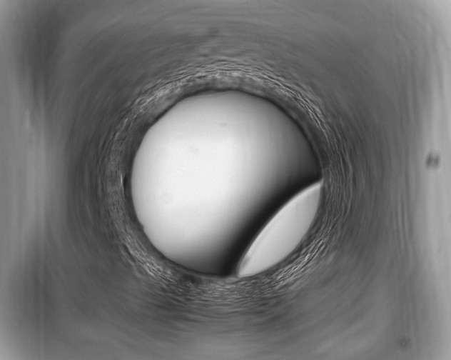 X0000099931489200805230948