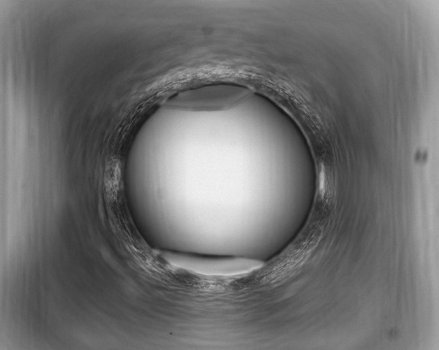 X0000099931492200805230948