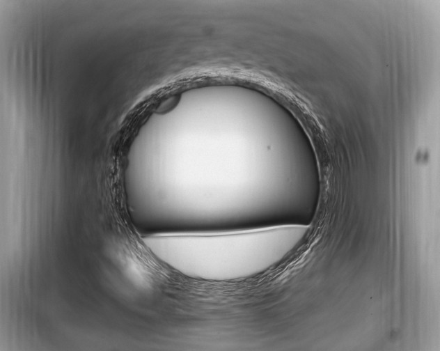 X0000099931494200805230948
