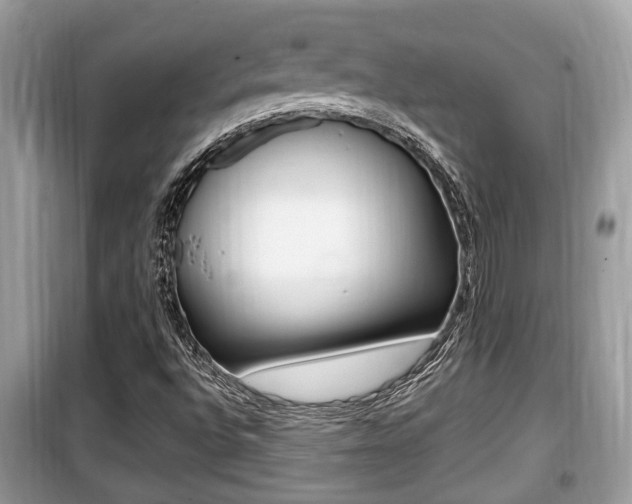 X0000099931496200805230948