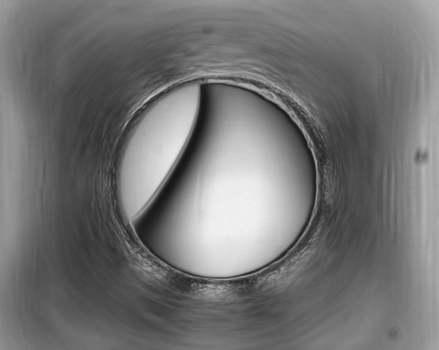 X0000099931497200805230948