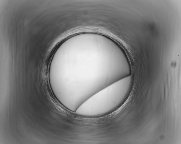 X0000099931498200805230948