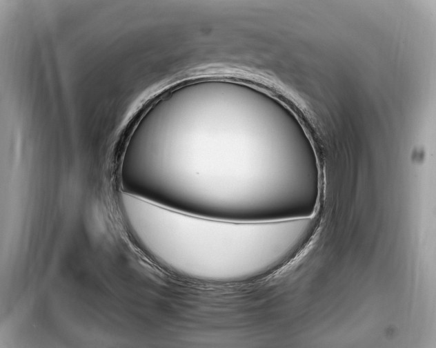 X0000099931501200805230948