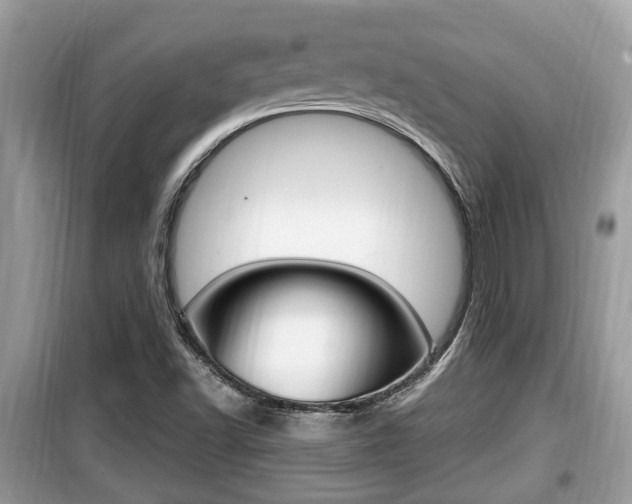 X0000099931502200805230948