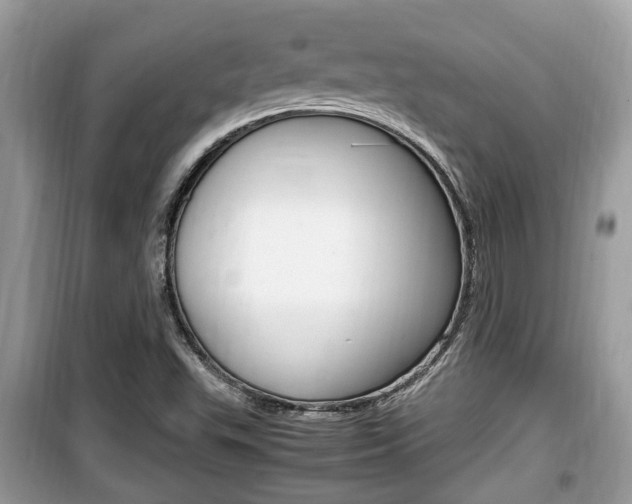 X0000099931503200805230948