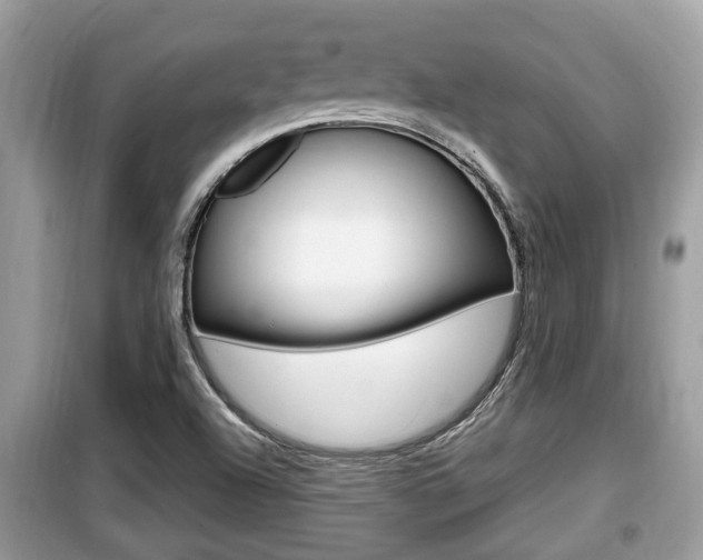 X0000099931504200805230948