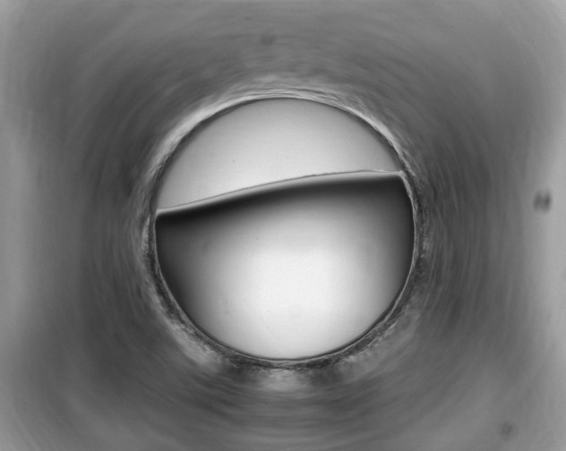 X0000099931507200805230948