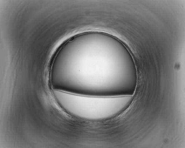 X0000099931511200805230948