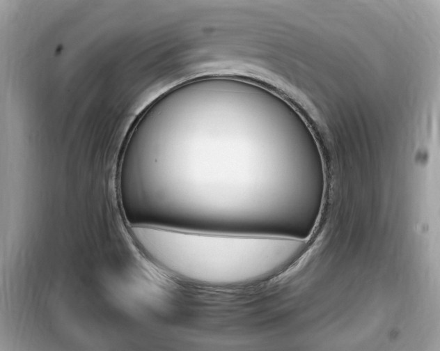 X0000099931513200805230948