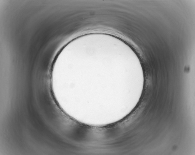 X0000099931514200805230948