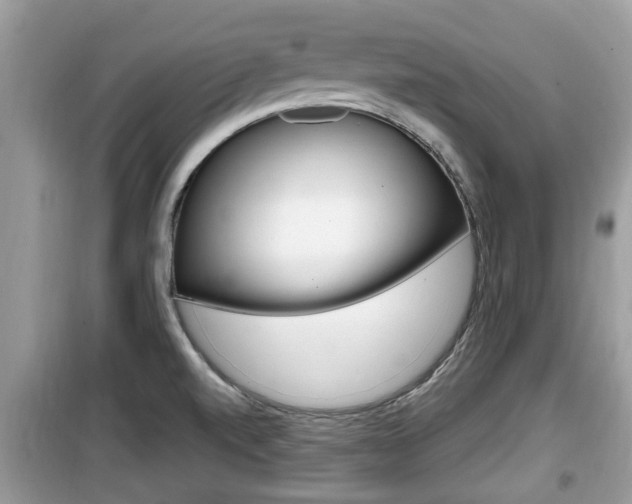 X0000099931520200805230948