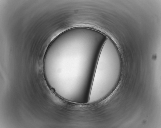 X0000099931521200805230948