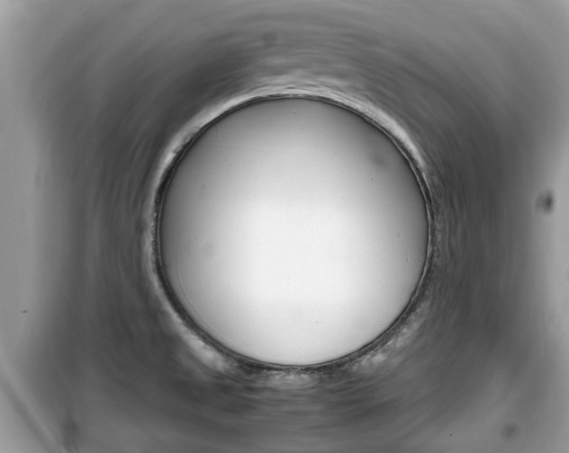 X0000099931525200805230948