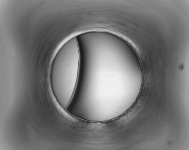 X0000099931526200805230948