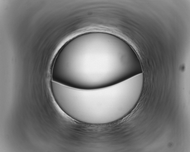 X0000099931531200805230948