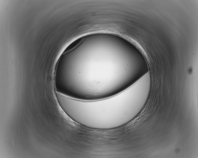 X0000099931532200805230949