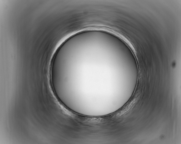 X0000099931533200805230949