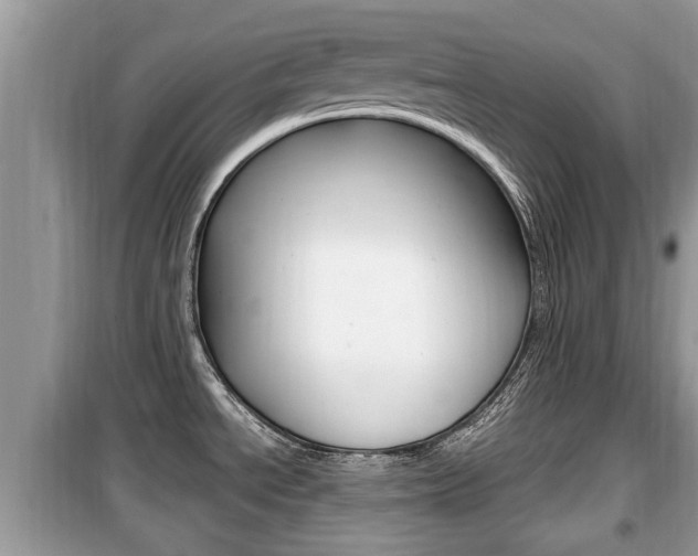 X0000099931534200805230949