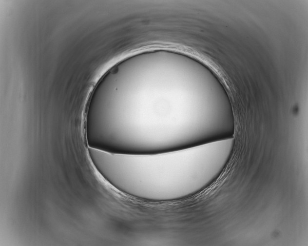 X0000099931535200805230949