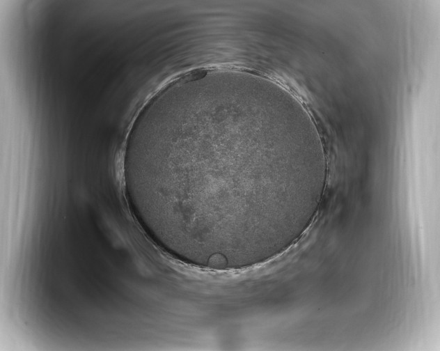 X0000099930002200805231240