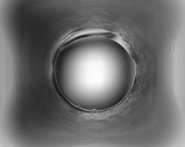 X0000099930005200805231240