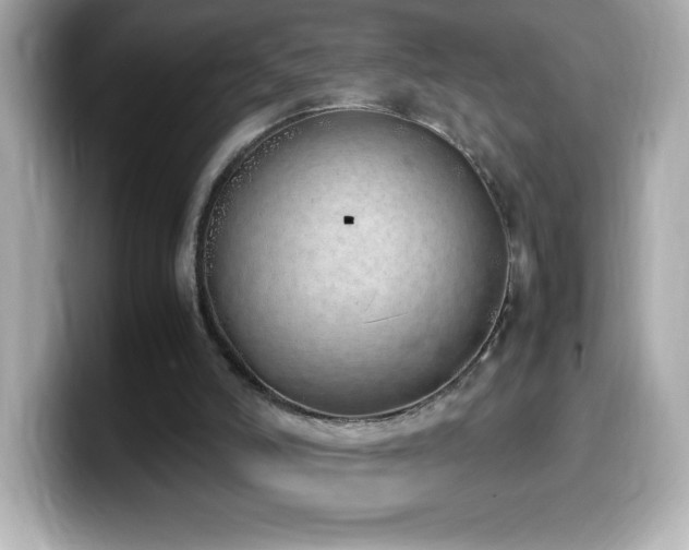 X0000099930006200805231240