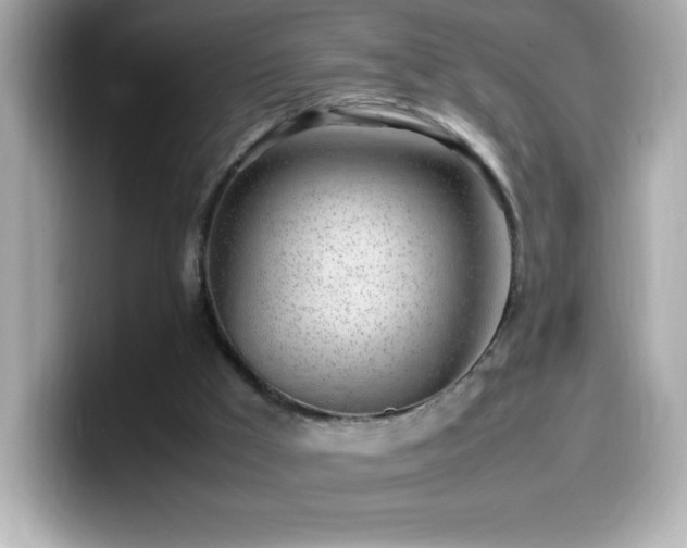 X0000099930009200805231240