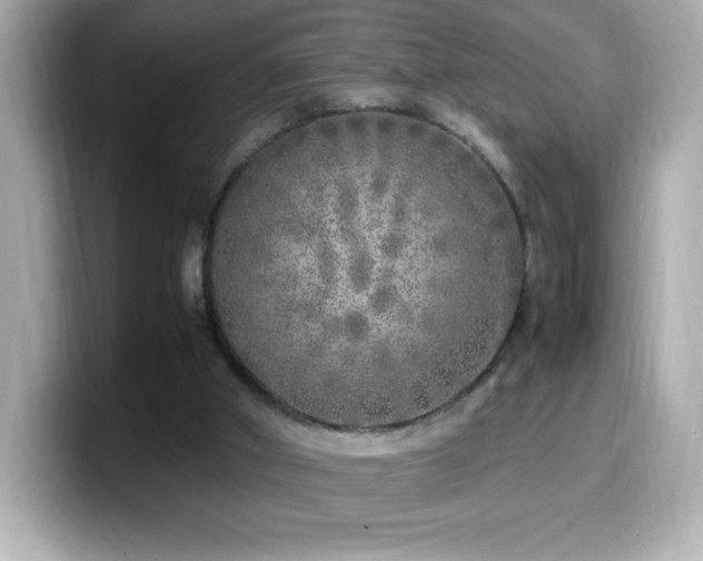 X0000099930010200805231240