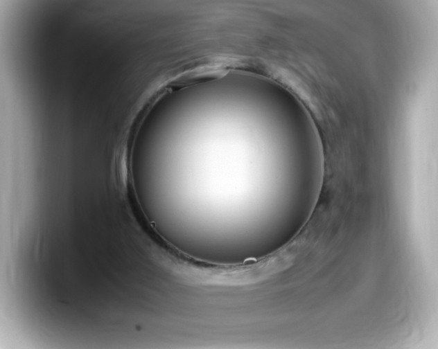 X0000099930011200805231240