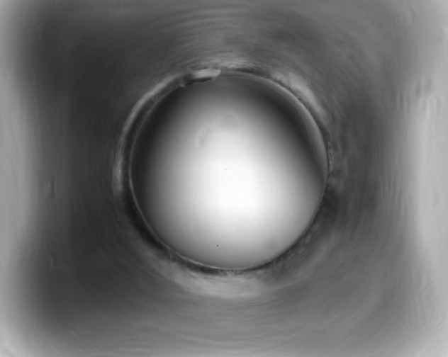 X0000099930012200805231240