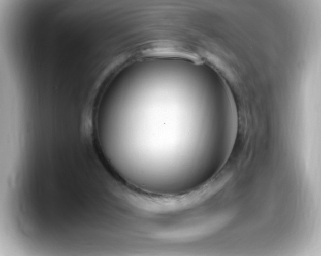 X0000099930015200805231240