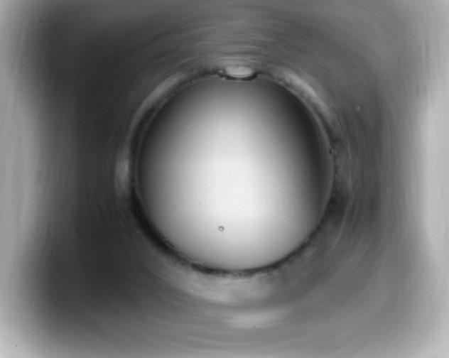 X0000099930016200805231240