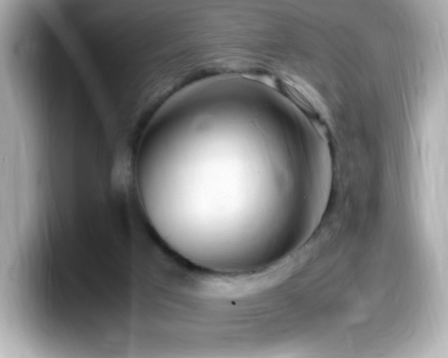 X0000099930017200805231240