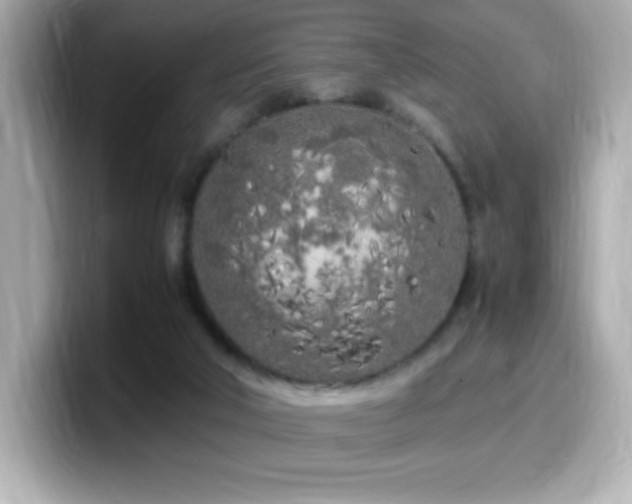 X0000099930018200805231240