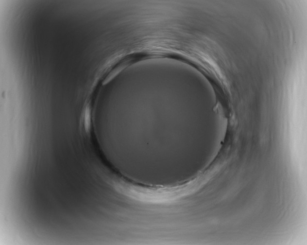 X0000099930019200805231240