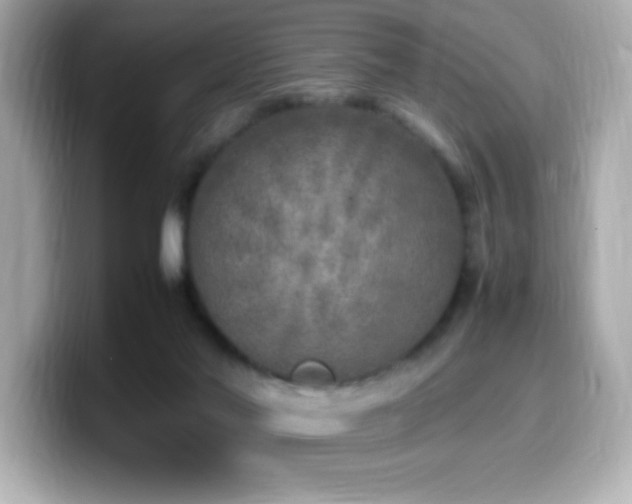 X0000099930022200805231240