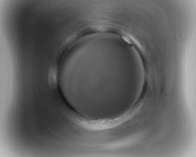 X0000099930023200805231240