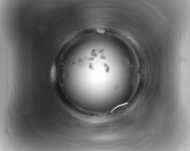 X0000099930024200805231240