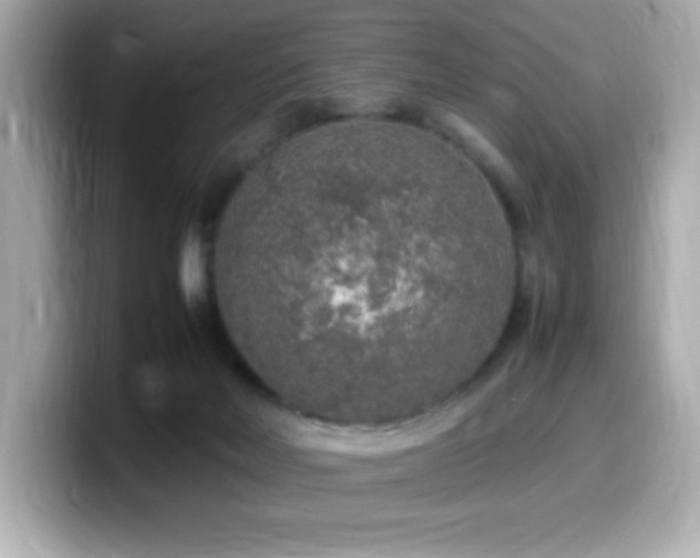 X0000099930026200805231240