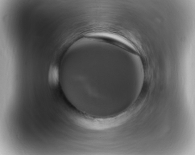 X0000099930027200805231240