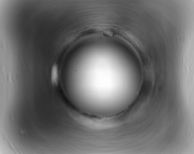 X0000099930028200805231240