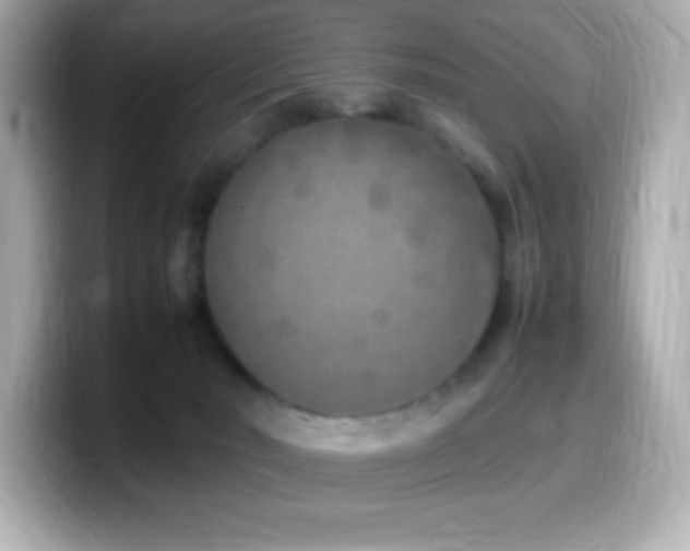 X0000099930030200805231240