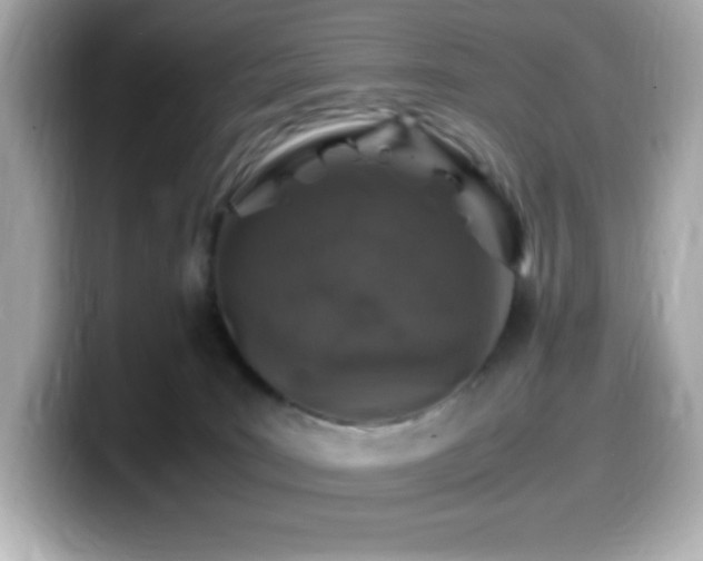 X0000099930035200805231240