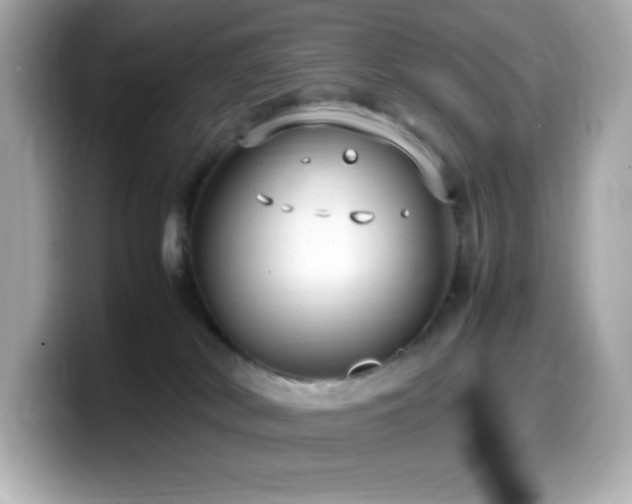 X0000099930038200805231240