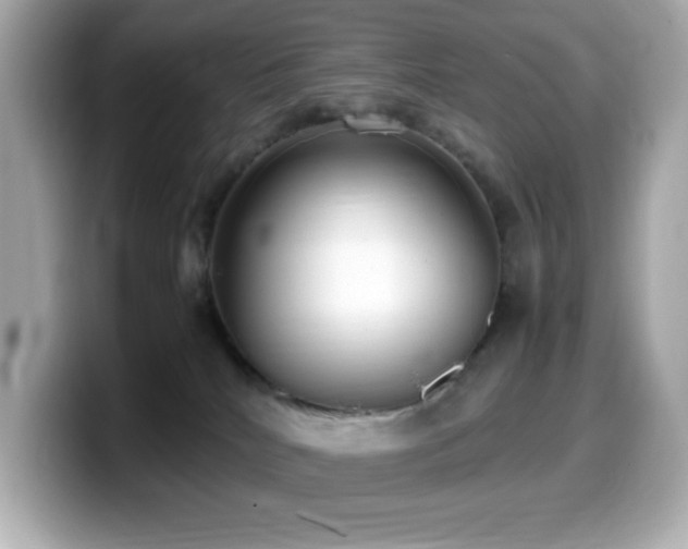 X0000099930040200805231240