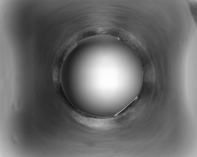 X0000099930044200805231240