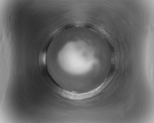 X0000099930047200805231240