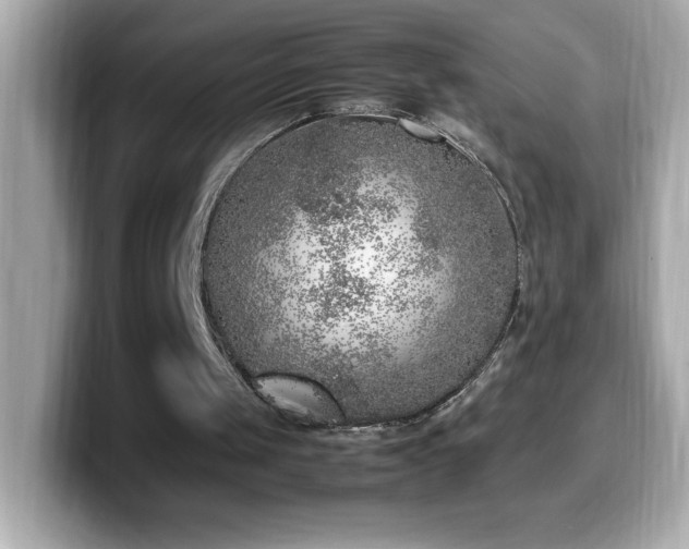 X0000099930049200805231239