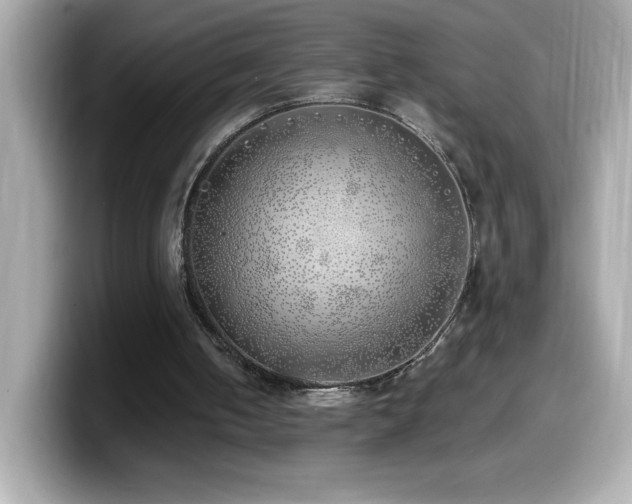 X0000099930050200805231239